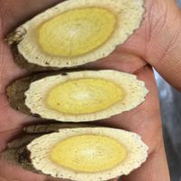 健颐年 茶类 特级 250g