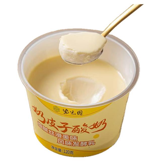 紫光园 奶皮子酸奶官方旗舰店风味牛奶乳制品北京120g送礼袋