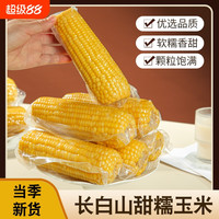 玉颜色 东北黄糯玉米棒真空包装黏粘苞米0低脂代餐主食真空装早餐零食