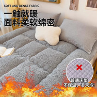 加厚羊羔绒床垫软垫冬季宿舍单人榻榻米海绵垫子垫被褥子加绒
