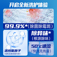 Texlabs 爆炸盐洗衣去污渍强漂白剂去黄增白彩漂粉衣物