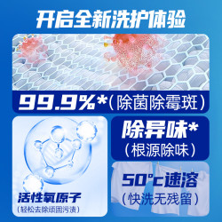 Texlabs 爆炸盐洗衣去污渍强漂白剂去黄增白彩漂粉衣物