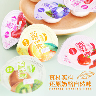 混合装果粒乳酪奶疙瘩三角酪乳酪棒棒奶贝奶条儿童零食260g