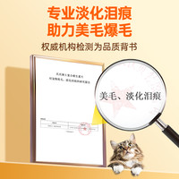 爪爪博士狗狗复合维生素片防掉毛维生素B宠物猫咪营养补充维生素