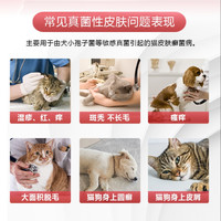 伊曲康唑溶液猫咪狗狗用口服溶液猫狗皮肤病马拉色菌真菌感染猫癣