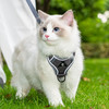 猫咪狗狗牵引绳可调节防挣脱外出中小型犬胸背带溜猫绳宠物绳