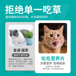 宠物化毛球片猫草片猫咪用掉毛吃营养膏化毛膏猫咪排毛
