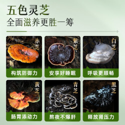 維特健靈 野生 灵芝胶囊