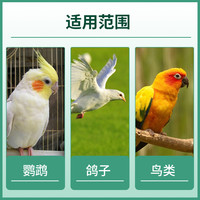 鸟用益生菌鹦鹉葡萄糖多维电解质玄风太阳腹泻软便营养补充剂