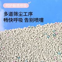 仓鼠尿砂夏天用品活性炭双重清洁厕所尿沙金丝熊兔子刺猬消暑垫料