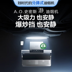 A.O.SMITH 顶侧双吸 油烟机