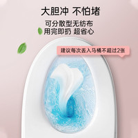 妇炎洁 湿厕纸 私处杀菌养护 80抽