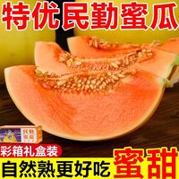 百亿补贴：创朵 甘肃民勤蜜瓜黄河蜜瓜红肉香瓜 新鲜水果批发整箱