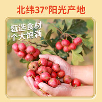【升级加量】金晔山楂抱抱山楂小葫芦原味葡萄草莓味儿童零食88g