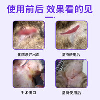 防腐生肌散宠物猫咪狗狗用外伤伤口消炎愈合药手术止血防止化脓