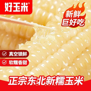 东北白糯玉米甜糯粘玉米棒真空包装黏玉米新鲜粗粮代餐非即食玉米