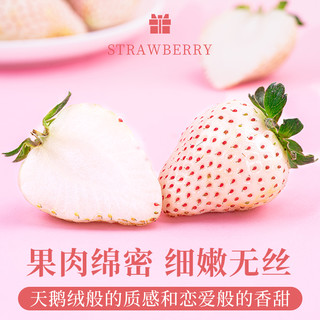 淡雪草莓空运品新鲜水果牛奶油红颜白草莓礼盒 空运|❥20g+|【精选大大果】