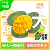 京鲜生 攀枝花好大一颗凯特芒 2斤粒巨无霸 净重8斤 生鲜水果 源头直发