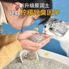 膨润土猫砂40斤20公斤10实惠装除臭无尘杀菌去尿味剂猫沙