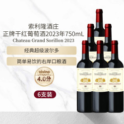 Château Grand sorillon Chateau Grand sorillon索利隆酒庄 2021年 干红葡萄酒750ml*6瓶 红酒 索利隆干红2021六支装