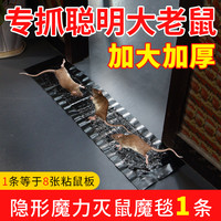 洁涩 老鼠贴强力粘鼠板超强家用灭鼠捕鼠神器大老鼠一窝端驱鼠聪明仓库