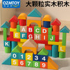 QZMEDU 62粒大颗粒积木字母数字启蒙拼搭游戏儿童益智玩具男女孩 62粒彩色积木