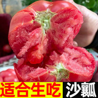 普罗旺斯西红柿新鲜蔬菜水果自然熟生吃沙瓤大番茄柿子现摘