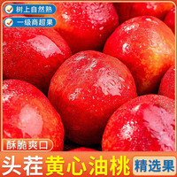 黄心油桃新鲜水果 应季大桃子当季脆甜黄肉油桃5斤整箱密脆桃