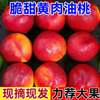 黄心油桃新鲜水果 应季大桃子当季脆甜黄肉油桃5斤整箱密脆桃