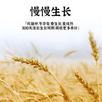 豆逸谷新疆雪花饺子粉馒头冬小麦粉高品质面粉面中筋面粉