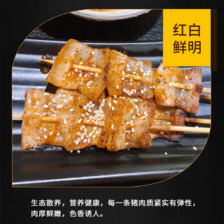 游牧御品五花肉串268g（11串）/袋 烧烤食材炸串肉片空气炸锅半成品夜宵 268g*3袋/33串(含3包调料)