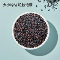 血糯米1kg*2袋新货东北黑龙江农家紫米香米五谷杂粮粥糯米紫
