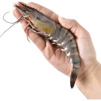 京东超市X加点滋味 泰国黑虎虾400g*2+厚椰咖喱泰式咖喱64g(共4块)咖喱虾 泰国黑虎虾X咖喱 864g(净重)