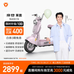 雅迪 电动自行车 摩登莱茵