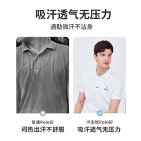 navigare 男士Polo衫