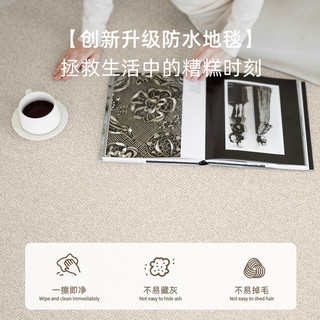 地毯客厅卧室2025床边免洗可擦房间防水免打理轻奢高级感地垫