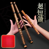 嘉宴 JIYAN 零基础入门 苦竹短箫 D调 笛子（便携迷你）