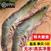 津尚鲜 盐冻白虾 500g 海鲜水产