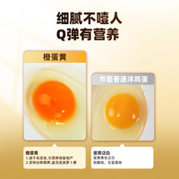 好念头乡朴黑鸡蛋蛋溏心新鲜土鸡蛋农家散养农场精选无菌早餐谷物