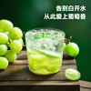 瑞福世家 葡萄乌龙茶 蜜桃玫瑰 花果茶包