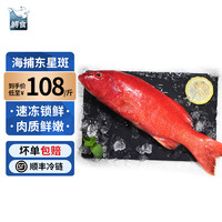 移动端、京东百亿补贴：鲟食 海捕东星斑鱼 700-800g/条