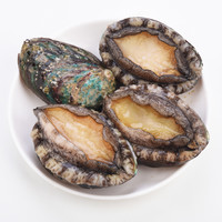 鲍鱼新鲜冷冻超大生鲜海鲜水产特大加热即食小鲍鱼捞汁饭商用