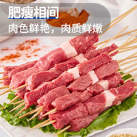 羊肉串100串新鲜羊肉烤肉牛肉串半成品家庭户外空气炸锅烧烤食材 650g