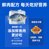 东方澳龙 猫肾脏全价处方粮 1.5kg