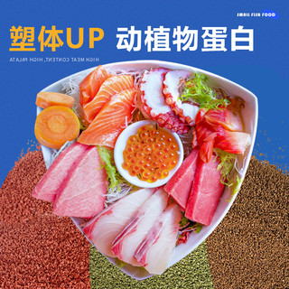 小型鱼饲料鱼食小颗粒热带鱼饲料观赏孔雀鱼饲料灯科鱼鱼苗鱼粮