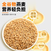 钢切原味燕麦粒轻食餐煮软糯Q弹营养代餐主食刚切店