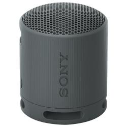 索尼 SRS-XB100 重低音炮 无线蓝牙音箱 黑色