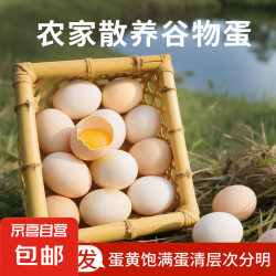 京喜 新鲜土鸡蛋现捡现发谷物鸡蛋40g *20枚装