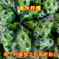 百亿补贴：友谊森 云南无籽香水柠檬青柠檬新鲜柠檬奶茶店专用柠檬包邮新鲜水果批发1斤