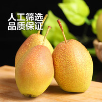 華北強 陕西红香酥梨 4.5斤装 单果100g+